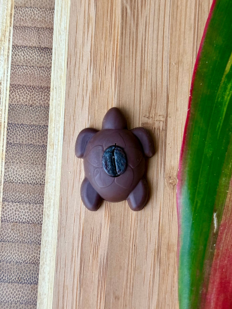 Cocoa Honu with Kona Espresso Bean, 4-pack